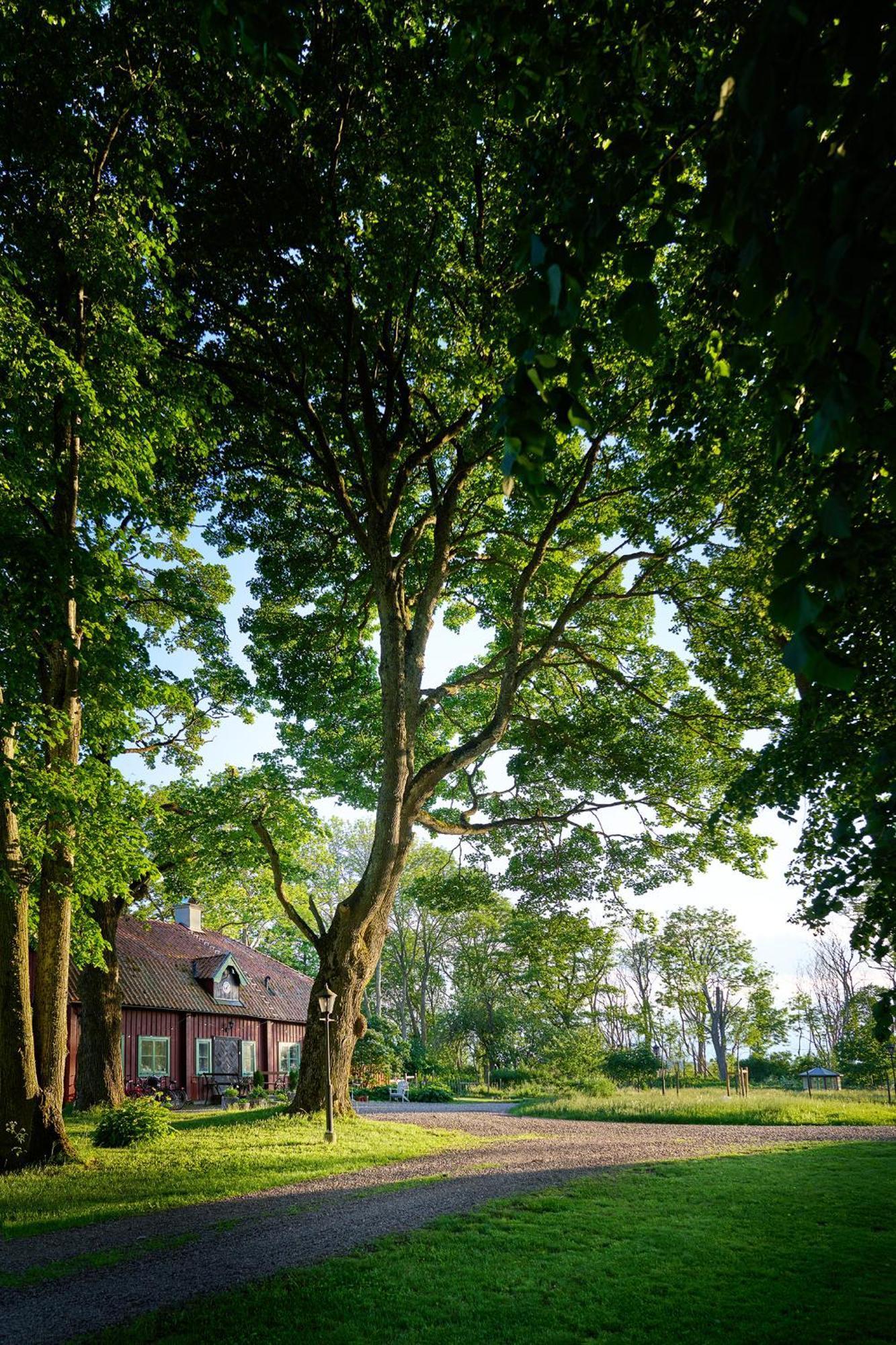 Kungs Starby Gard Bed And Breakfast Vadstena Bagian luar foto