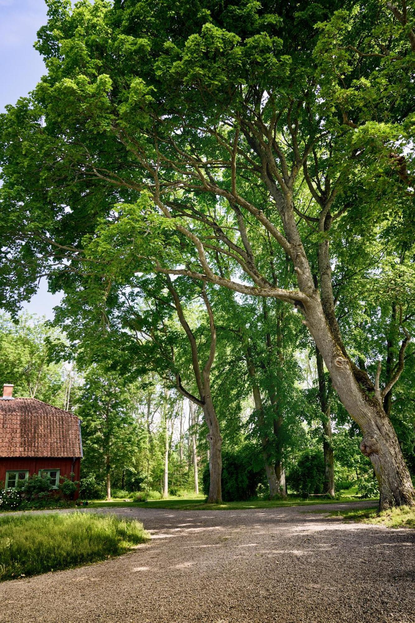 Kungs Starby Gard Bed And Breakfast Vadstena Bagian luar foto